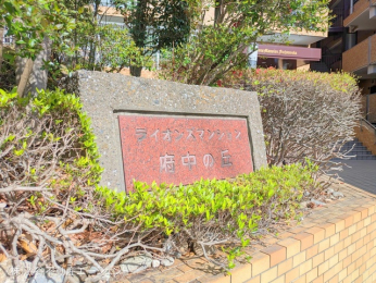 nOώʐ^ -