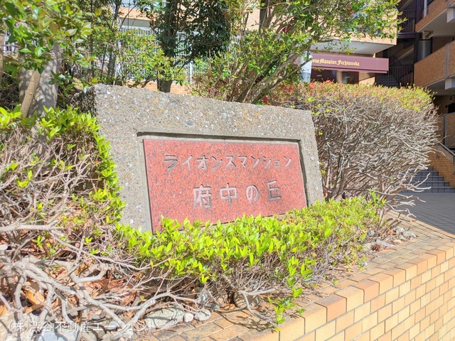 nOώʐ^ -