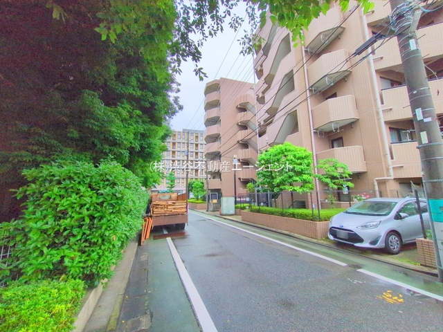 nOώʐ^ -