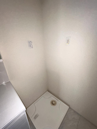 ���̑����� -