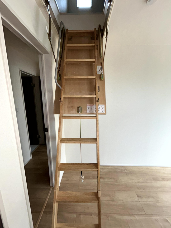 ���̑����� -