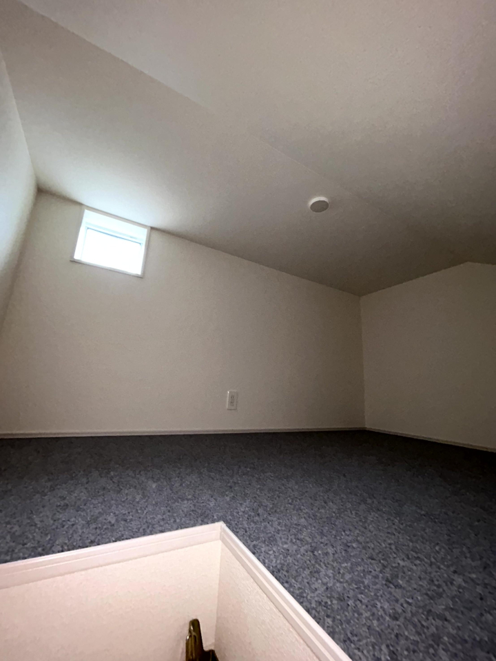 ���̑����� -