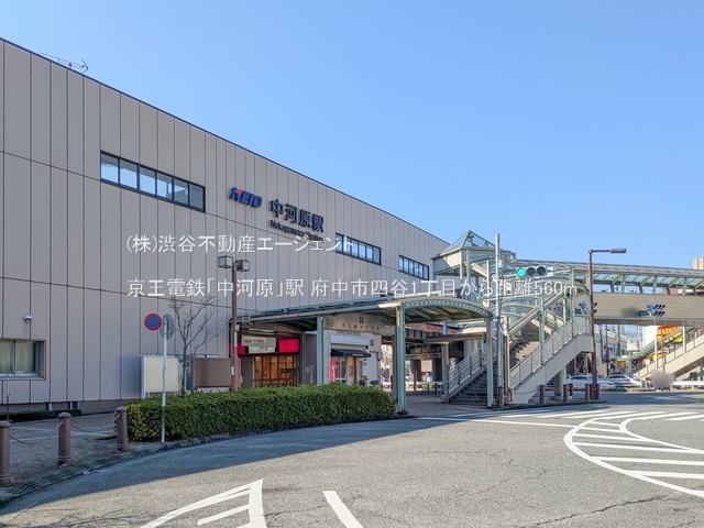 ӊ dSu͌vw560m