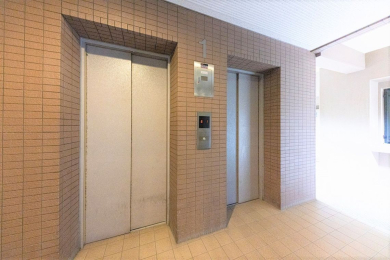 ̑p -