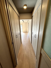 ���̑����� -