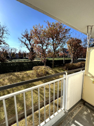 �o���R�j�[ -