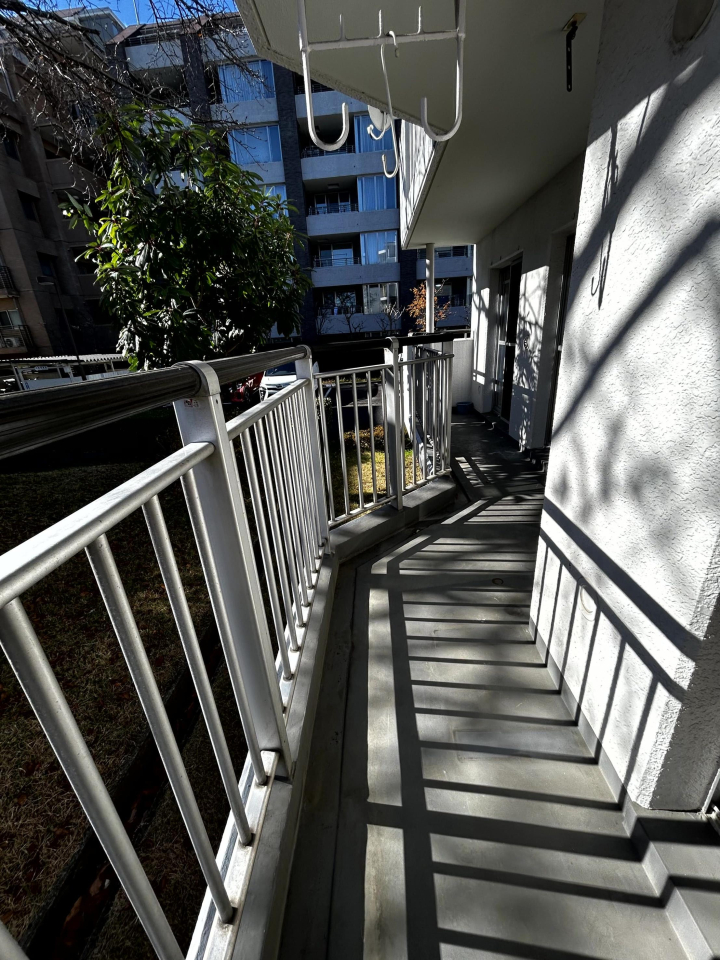 �o���R�j�[ -