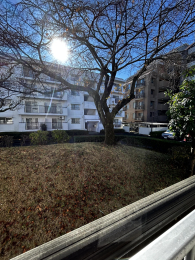 �Z�˂���̒��]�ʐ^ -