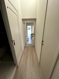 ���̑����� -