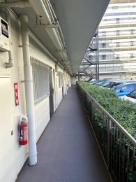 ���̑����p�� -