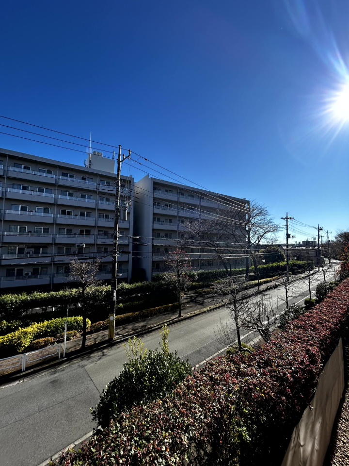 ���̑����n -