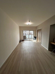 ���r���O�ȊO�̋��� -