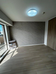 ���̑����� -