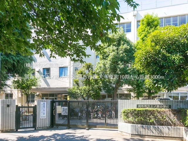 ���ӊ� ���z�s����m�����w�Z1000m