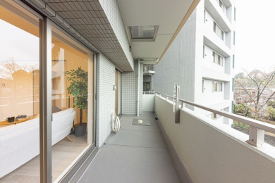 ���̑����n -