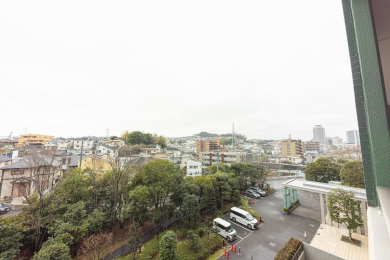 �Z�˂���̒��]�ʐ^ -