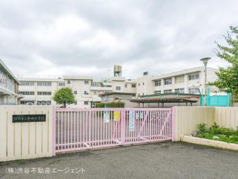@zszcwZ@350m